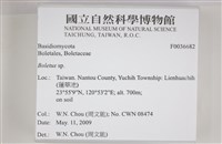 登錄號:F0036682藏品圖，第2張