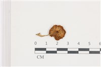 登錄號:F0036683藏品圖，第3張