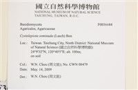 登錄號:F0036684藏品圖，第2張