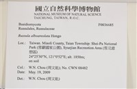 登錄號:F0036685藏品圖，第2張