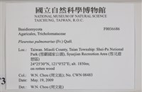 登錄號:F0036686藏品圖，第2張