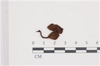 登錄號:F0036687藏品圖，第1張