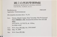 登錄號:F0036689藏品圖，第2張