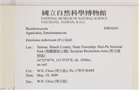 登錄號:F0036691藏品圖，第2張