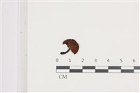 登錄號:F0036691藏品圖，第1張