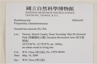 登錄號:F0036694藏品圖，第2張