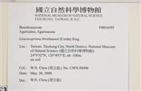 登錄號:F0036695藏品圖，第2張