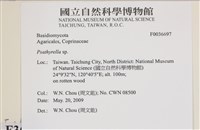 登錄號:F0036697藏品圖，第2張