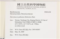 登錄號:F0036698藏品圖，第2張