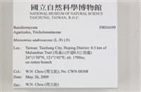 登錄號:F0036699藏品圖，第2張