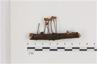 登錄號:F0036699藏品圖，第1張
