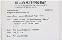 登錄號:F0036700藏品圖，第2張