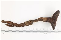 登錄號:F0036700藏品圖，第1張