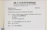 登錄號:F0036701藏品圖，第2張