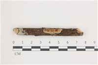 登錄號:F0036701藏品圖，第1張