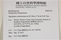 登錄號:F0036702藏品圖，第2張