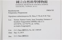 登錄號:F0036703藏品圖，第2張