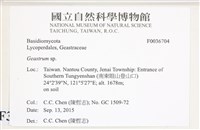 地星屬藏品圖，第2張