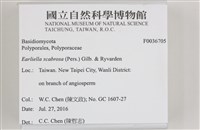 登錄號:F0036705藏品圖，第2張