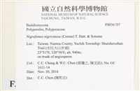 登錄號:F0036707藏品圖，第2張