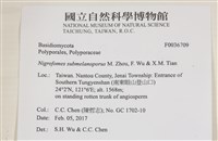 登錄號:F0036709藏品圖，第2張