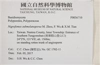 登錄號:F0036710藏品圖，第2張