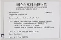 登錄號:F0036711藏品圖，第2張