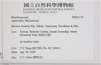 登錄號:F0036715藏品圖，第2張