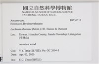 登錄號:F0036716藏品圖，第2張