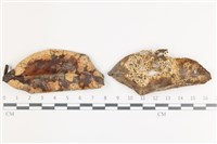 登錄號:F0036717藏品圖，第1張