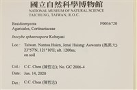 登錄號:F0036720藏品圖，第2張