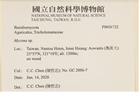 小菇屬藏品圖，第2張