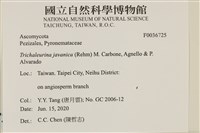 登錄號:F0036725藏品圖，第2張