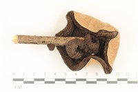 登錄號:F0036725藏品圖，第3張