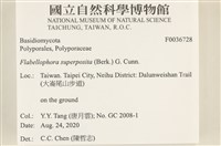 登錄號:F0036728藏品圖，第2張