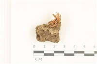 登錄號:F0036731藏品圖，第1張