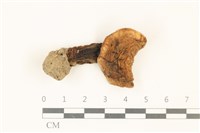 登錄號:F0036732藏品圖，第1張