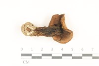 登錄號:F0036732藏品圖，第3張