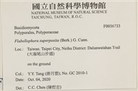 登錄號:F0036733藏品圖，第2張