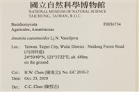 登錄號:F0036734藏品圖，第2張