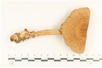 登錄號:F0036734藏品圖，第1張