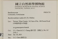 登錄號:F0036735藏品圖，第2張