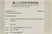 登錄號:F0036736藏品圖，第2張