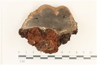 登錄號:F0036736藏品圖，第1張