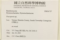 登錄號:F0036737藏品圖，第2張