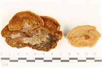 登錄號:F0036737藏品圖，第1張