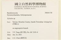登錄號:F0036738藏品圖，第2張