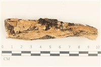 登錄號:F0036738藏品圖，第1張