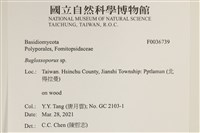 登錄號:F0036739藏品圖，第2張
