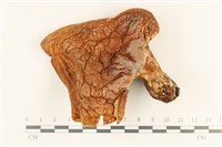 登錄號:F0036739藏品圖，第1張